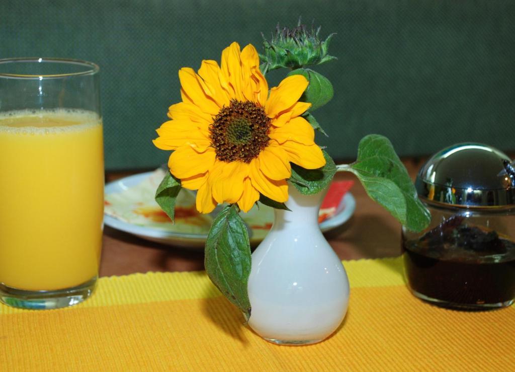 Hotel Alt-Rodenkirchen 쾰른 외부 사진